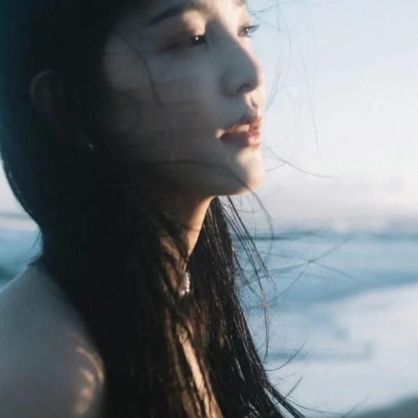 雏菊